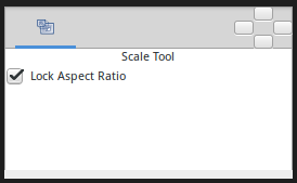 Scale Tool Options.png